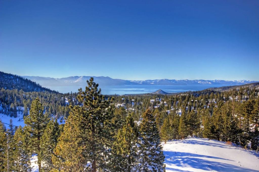 The Ridge View