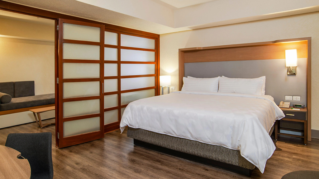 Holiday Inn MEXICO COYOACAN