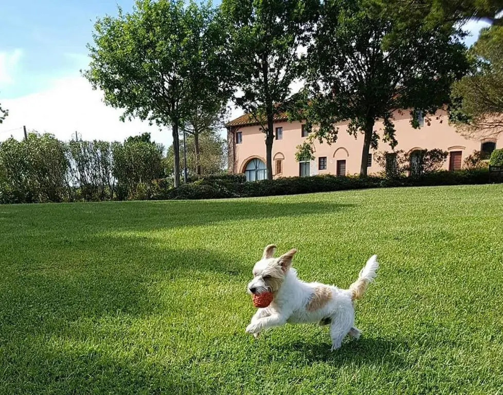 La Magnifica B&B