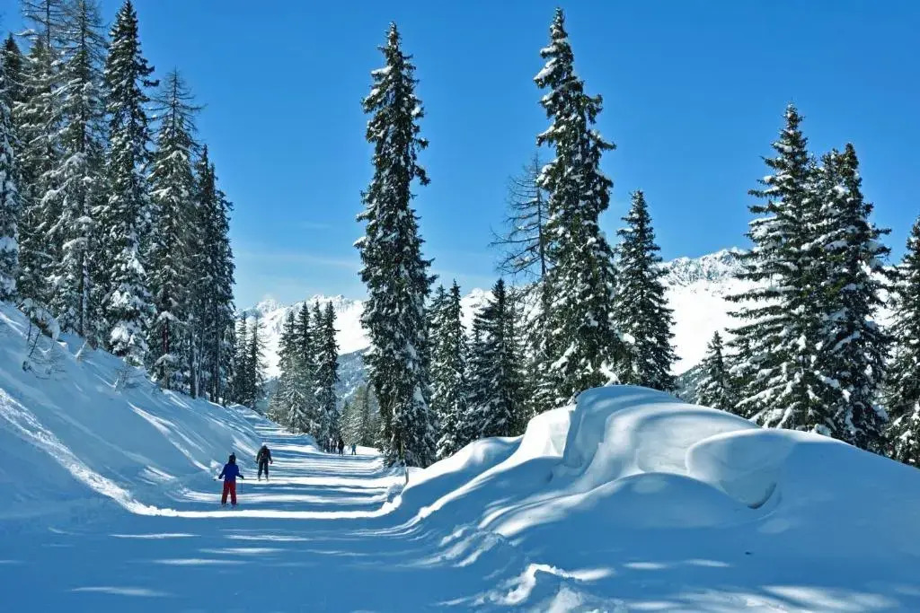 Hotel Alpenkönigin - ALPINE LUXURY