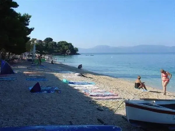Pension Vice