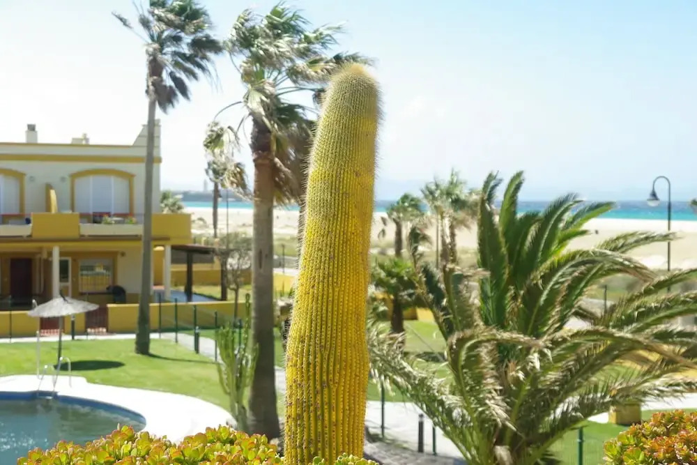 Livingtarifa - Apartamento piscina frente mar
