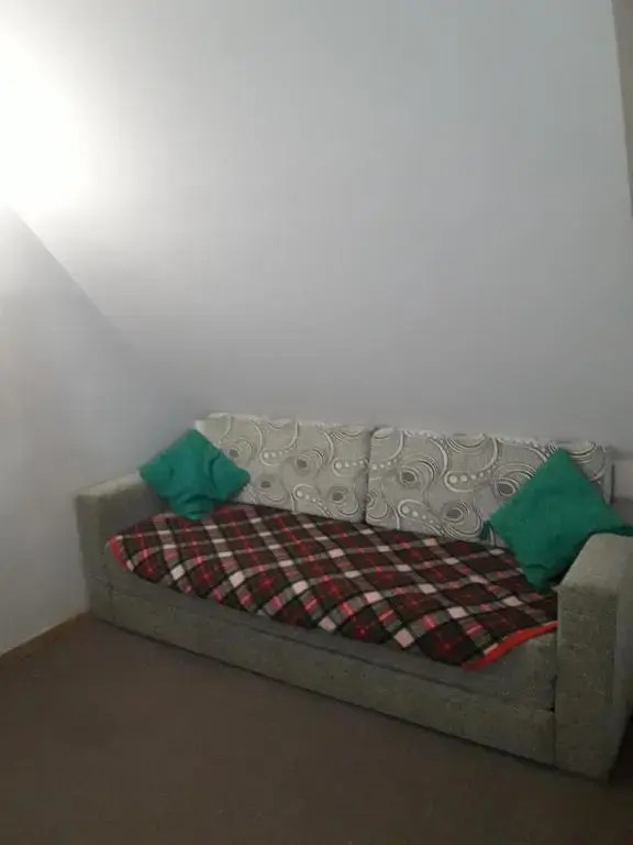 Koznik 404