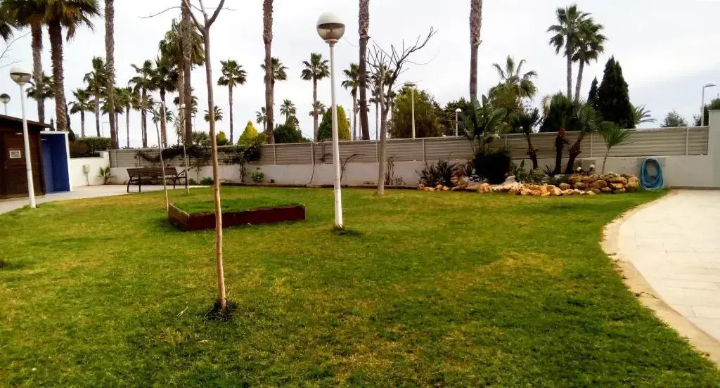 Apartamentos Mondrían Marina DOr 1º línea 3000