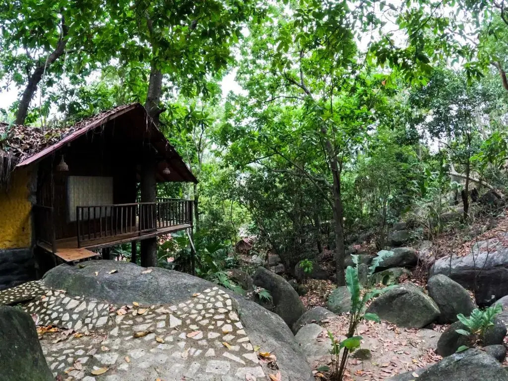 EcoHostal Rio Piedra