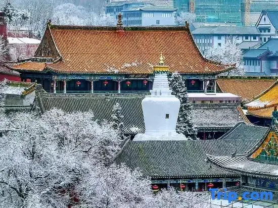 Shankee Hotel (Wutaishan Scenic Area)
