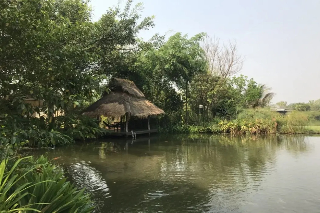 Bueng Pai Farm บึงปายฟาร์ม
