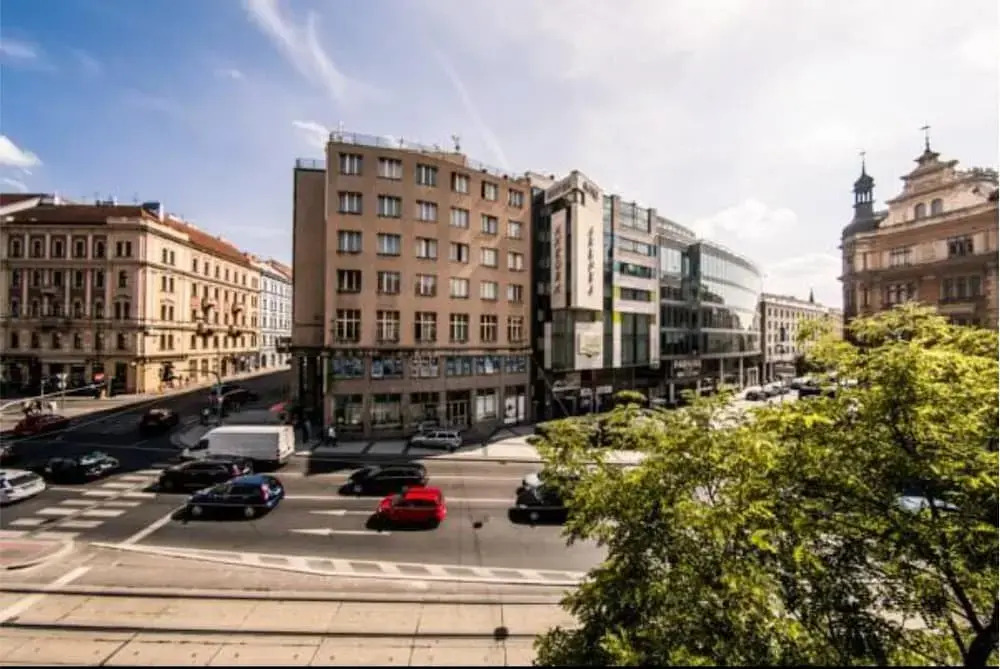 Freedom rooms and apartments