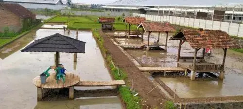 Kosan H Bambang
