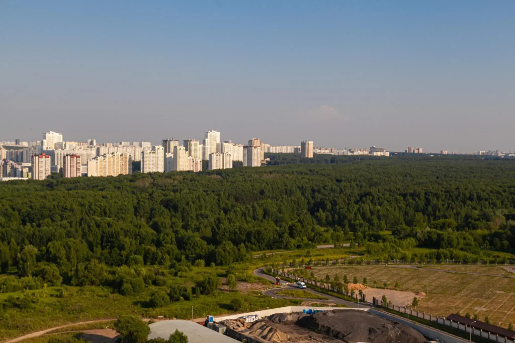 Санди на Востряковское шоссе 7 стр2