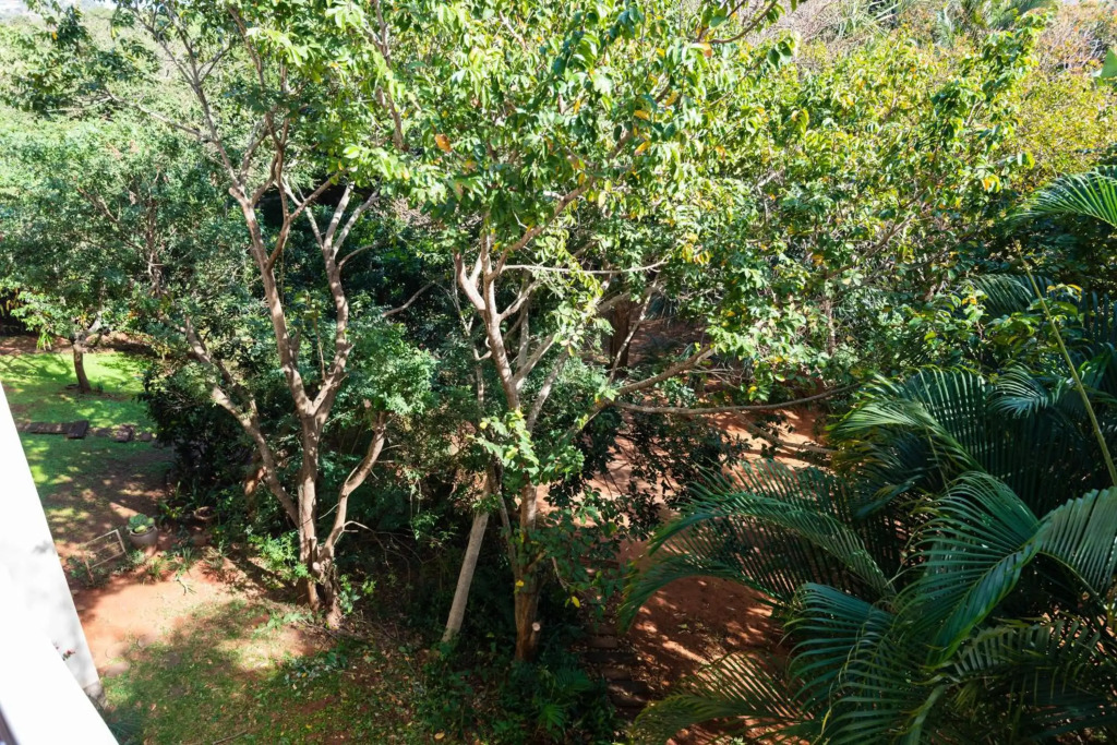 Villa Med 28