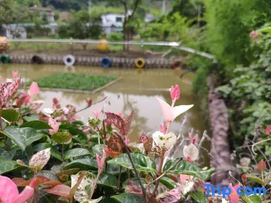 Yuyao Yijia Homestay (Yuyao Siming Lake Scenic Area)