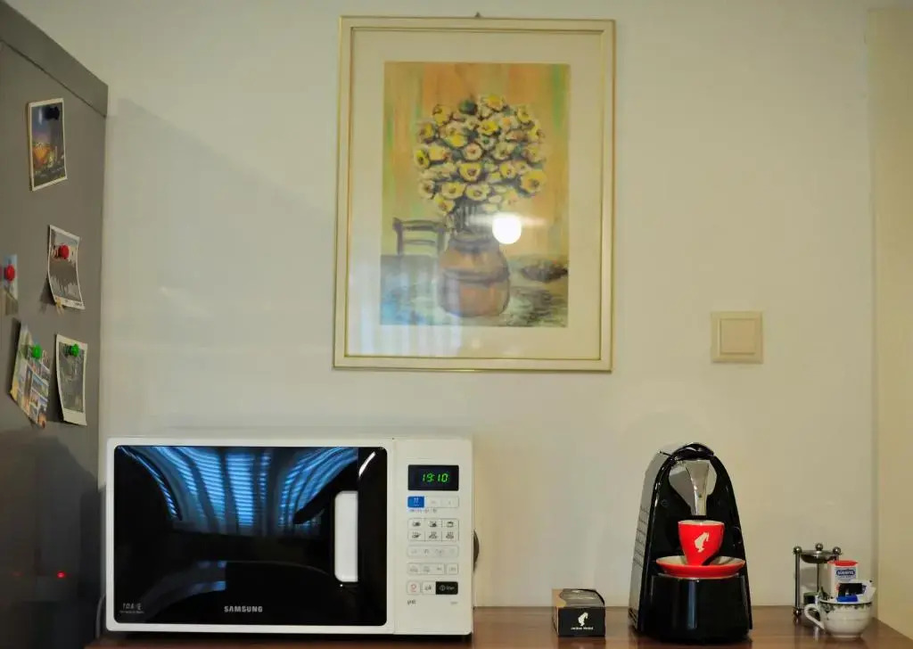 Green Garden Apartment