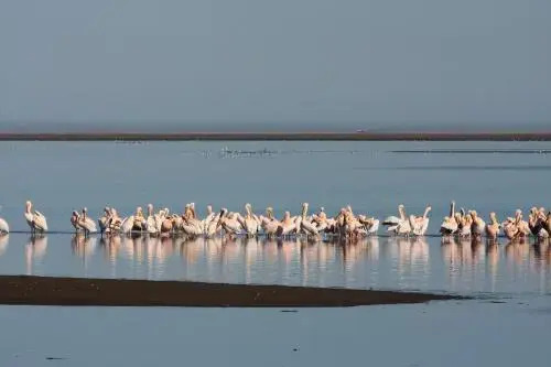 Lagoon Lodge