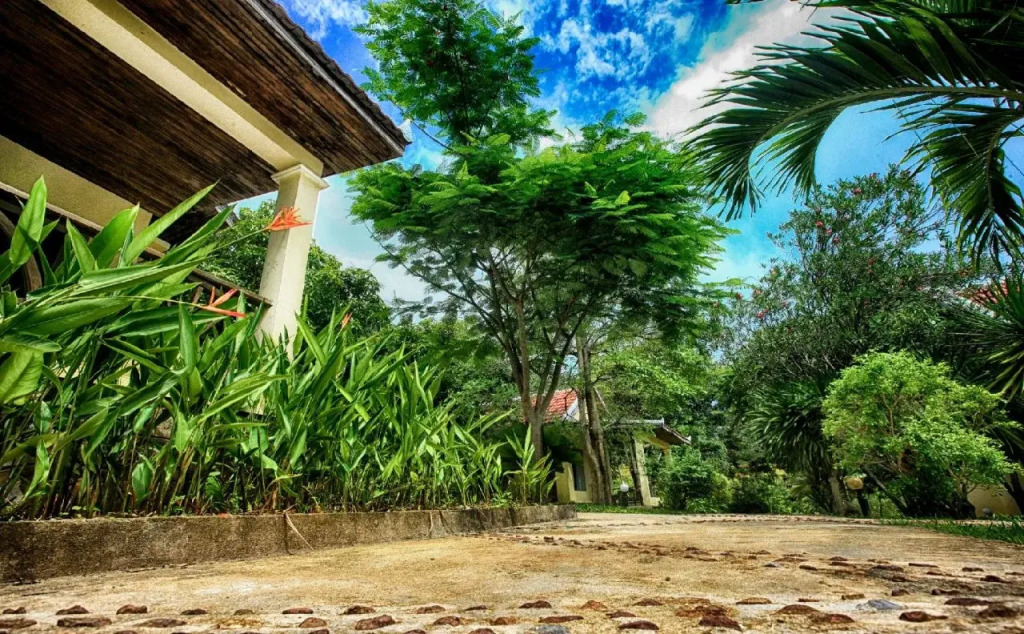 Q Bungalows