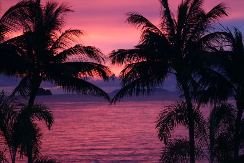 Sibaja Palms Sunset Beach Luxury Villa