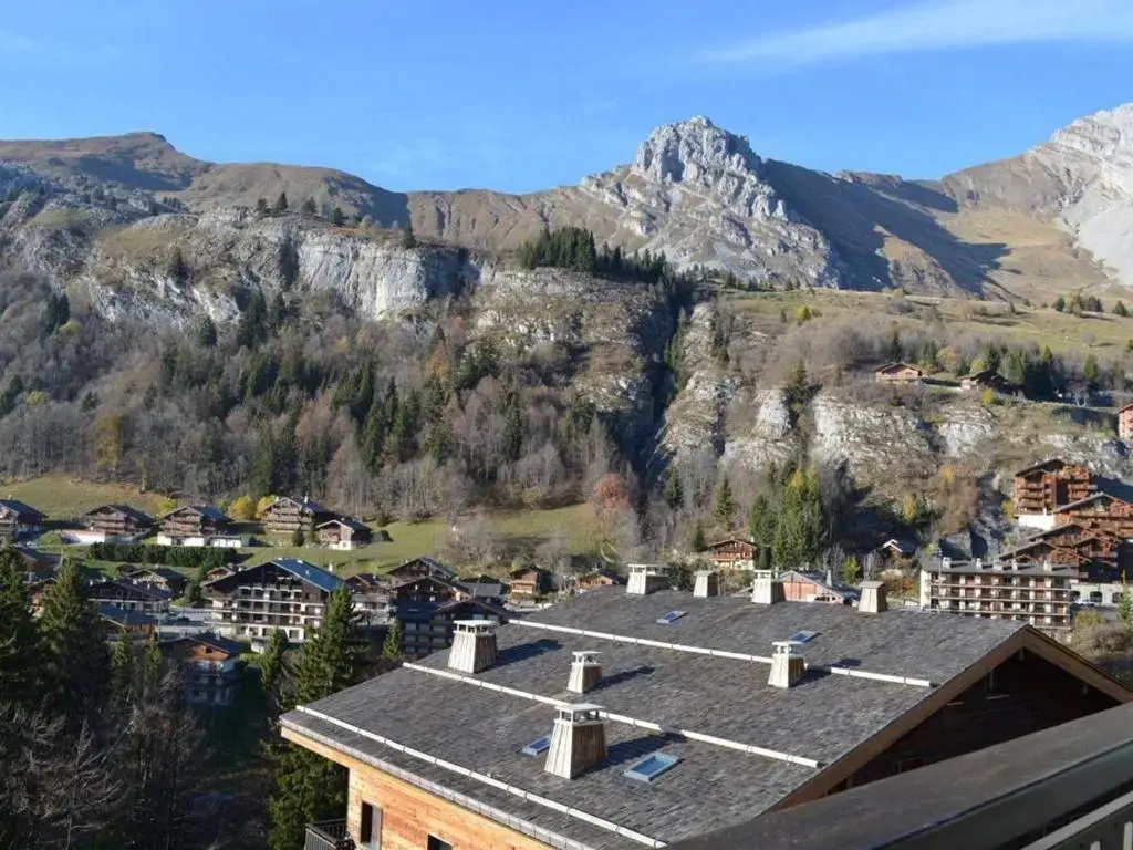 Appartement Le Grand-Bornand, 1 pièce, 4 personnes - FR-1-241-199