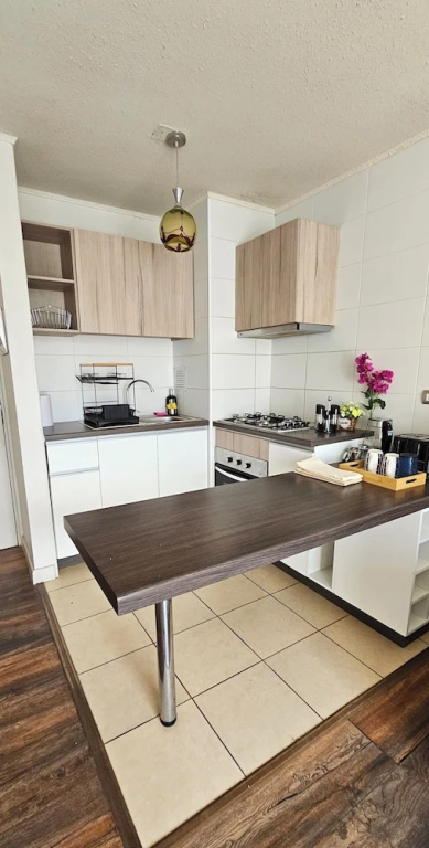 Departamento suite Valdivia