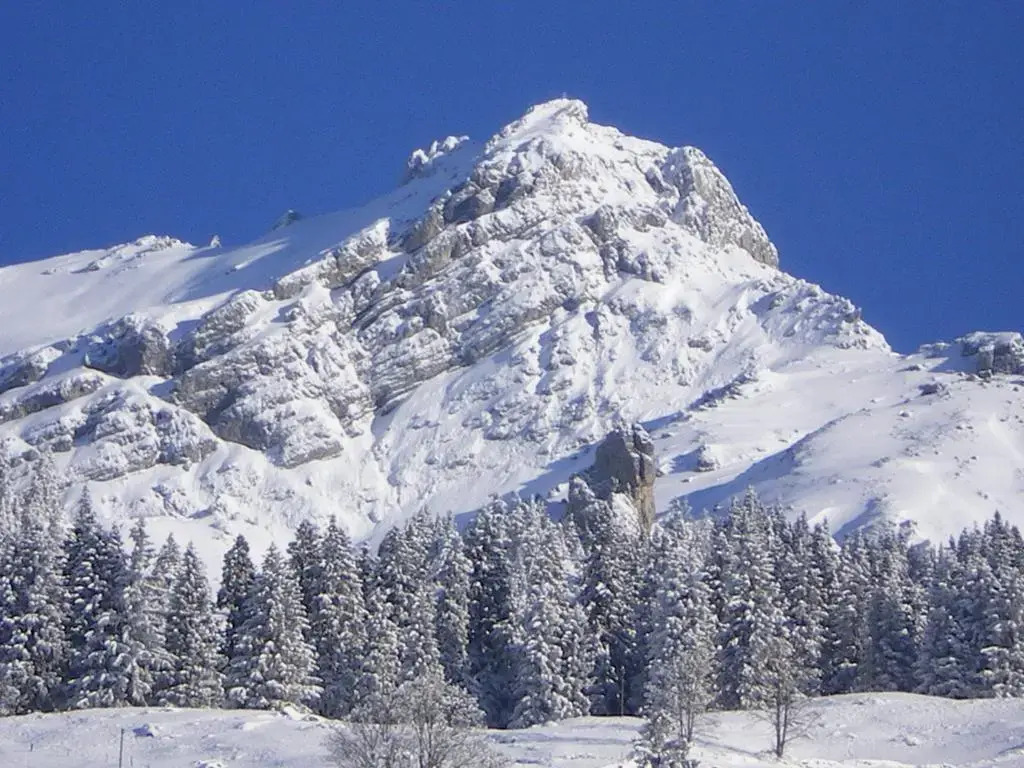 Gasthaus Schwand