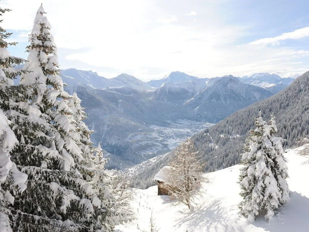 Comfy Apartment in Riederalp With Balcony