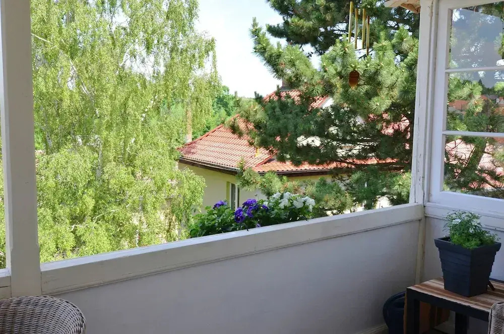 Apartment in Harz Near Ski Slopes