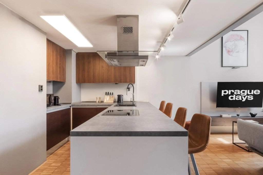 Open-plan Flat in Vinohrady by Prague Days