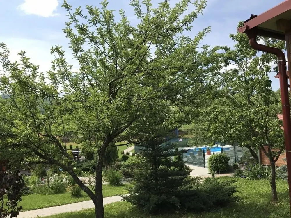 Apartments San