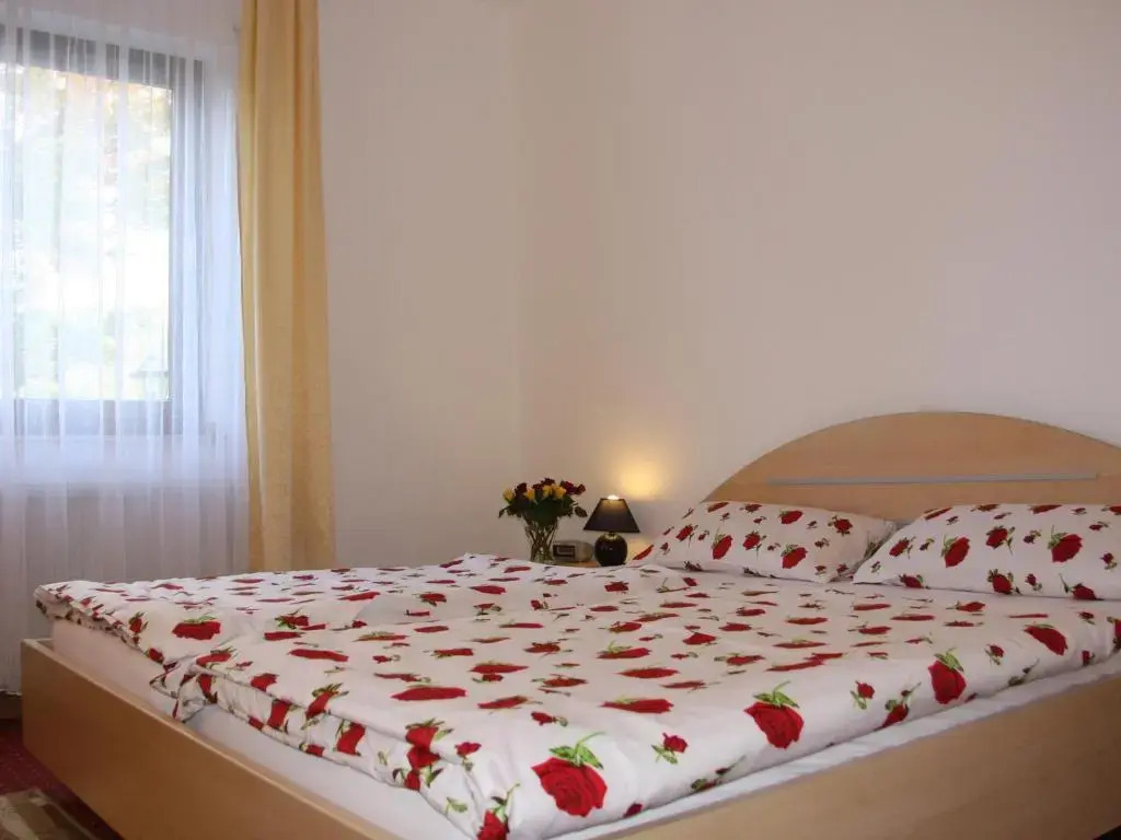 Hotel Haus Salzberg garni