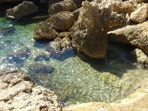 Villa Calanques