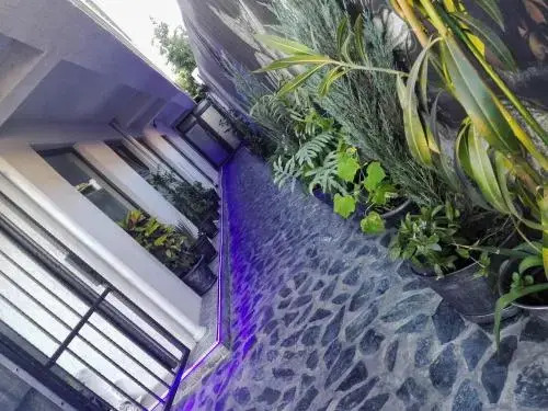 City Garden Black Sea