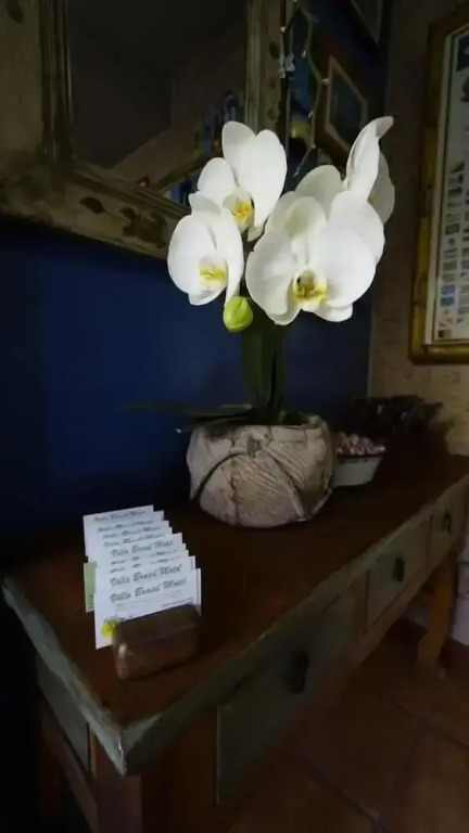 Villa Brasil Motel