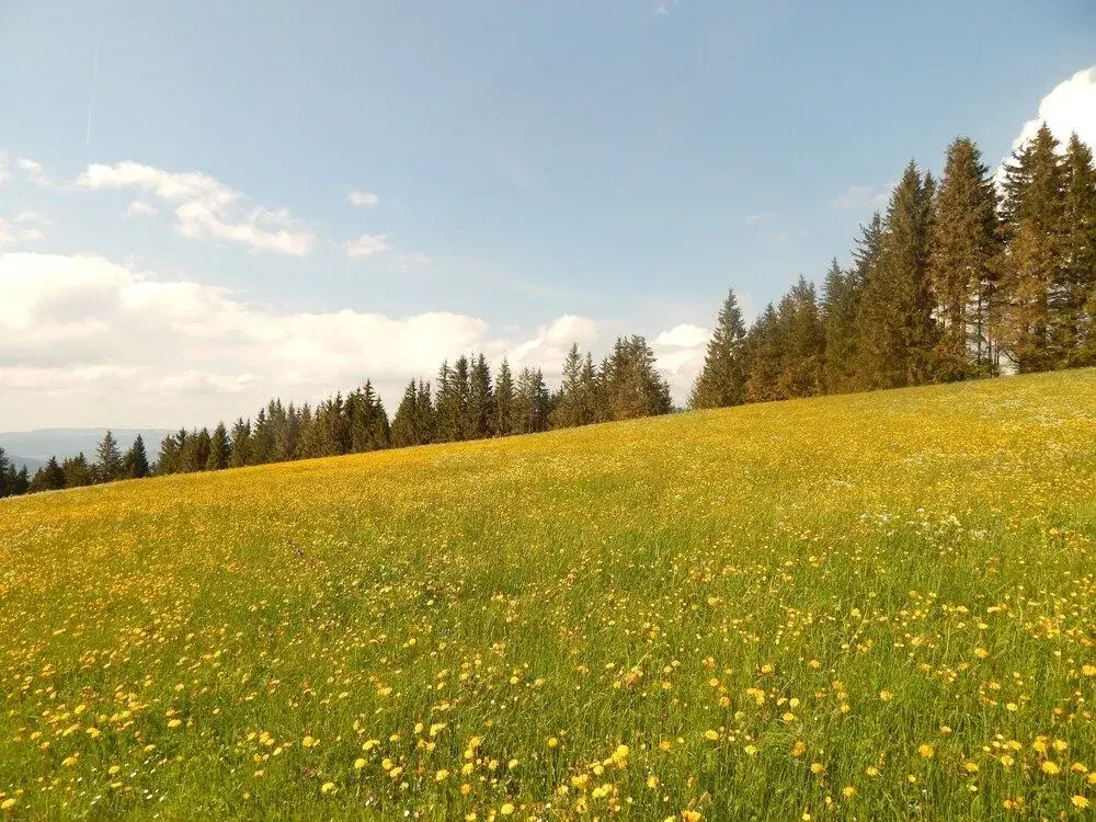 Hotel Bergsonne Allgäu