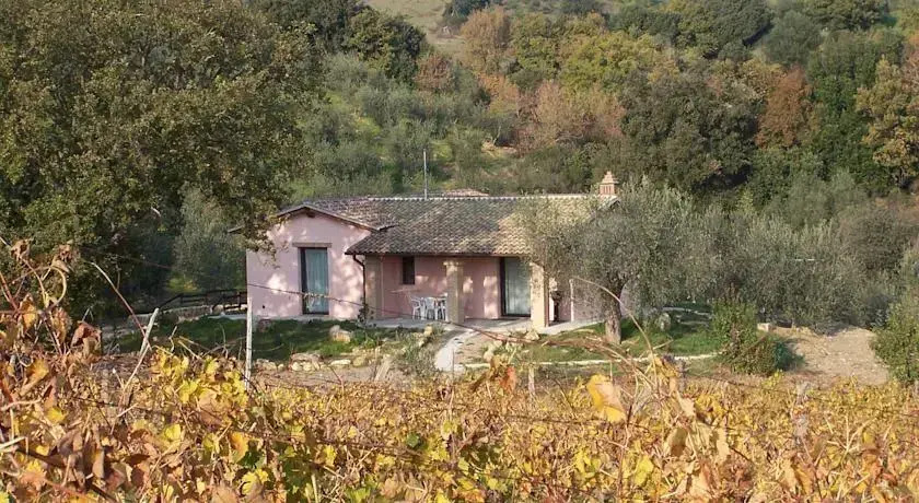 Casa Olivo