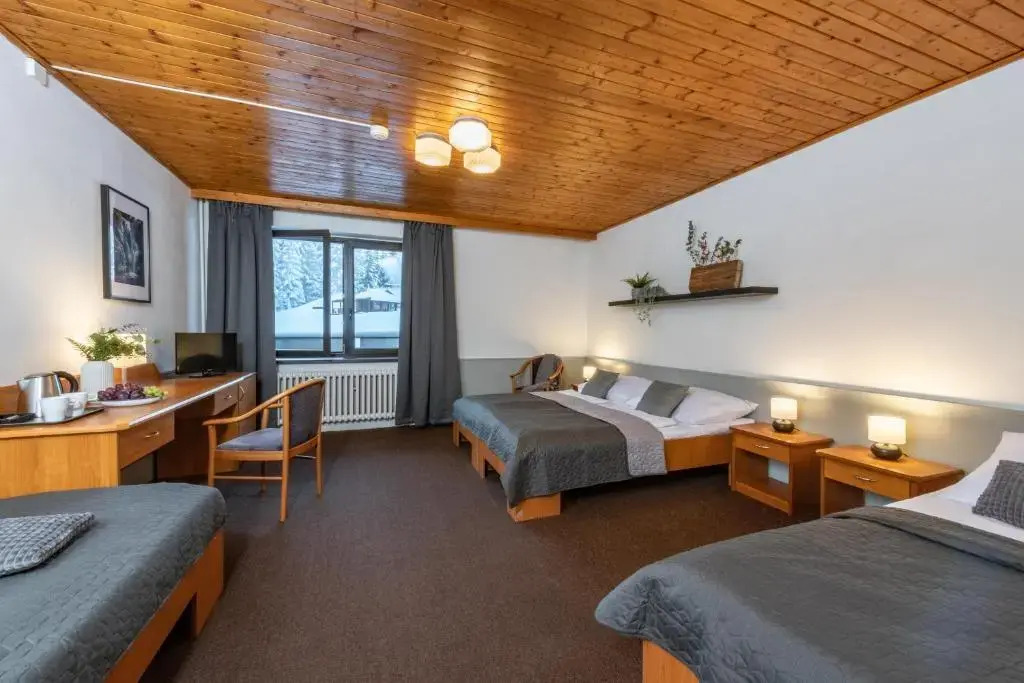 Wellness Hotel Šedý Vlk