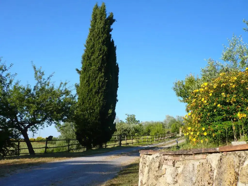 Podere Sionne
