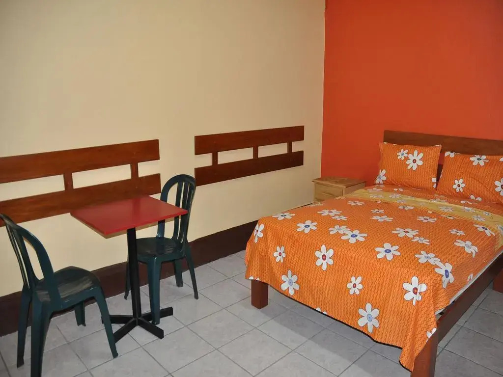 Hostal Vladis II