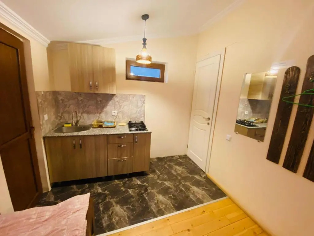 ბორჯომი საოჯახო სასტუმრო "გიომანი" Borjomi Guest House "GioMaNi" დასვენება ბორჯომში "GioMaNi"