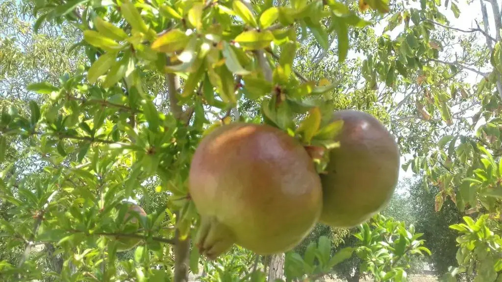 Villetta in pietra