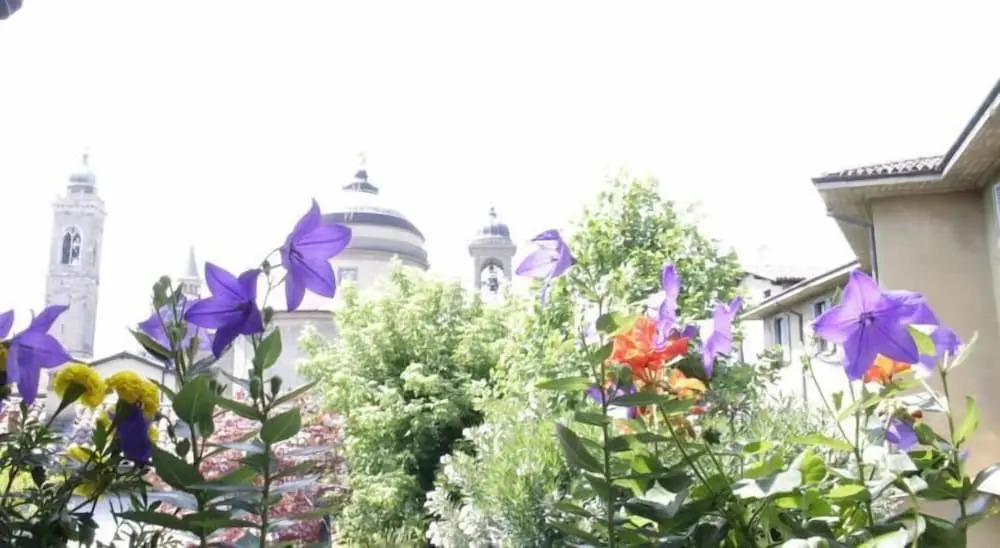 Fleur de Lis Belvedere