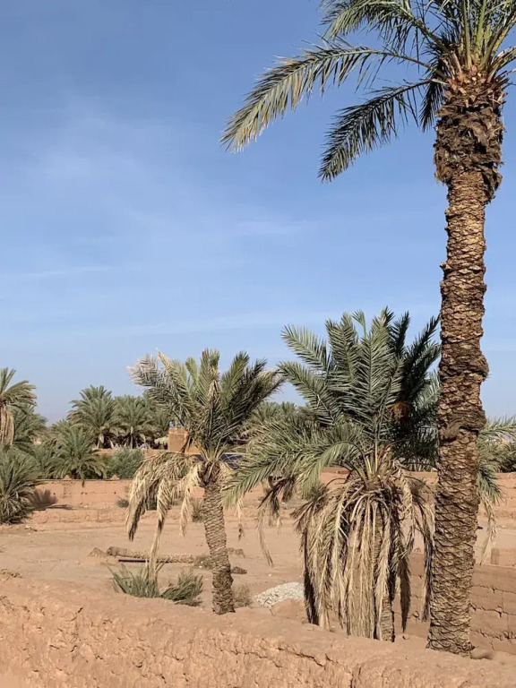 Dar Toda - Zagora guest house