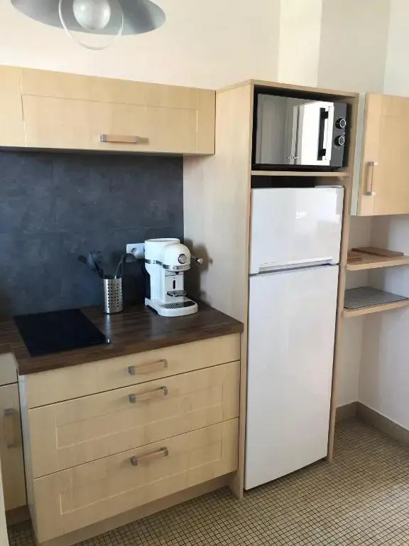 DEMOISELLES - Appartement 1 chambre