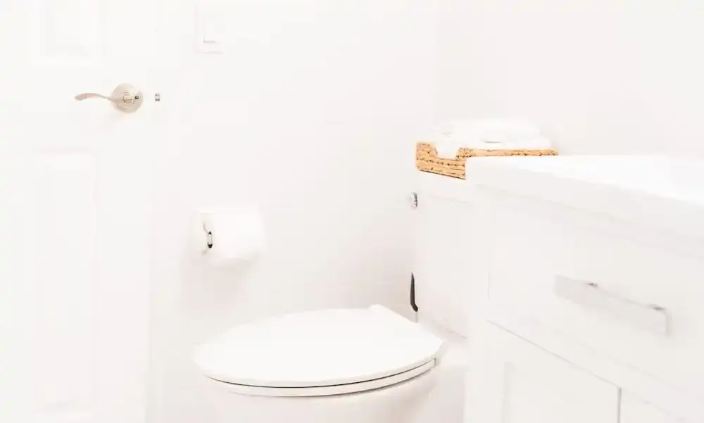 Modern Oasis
