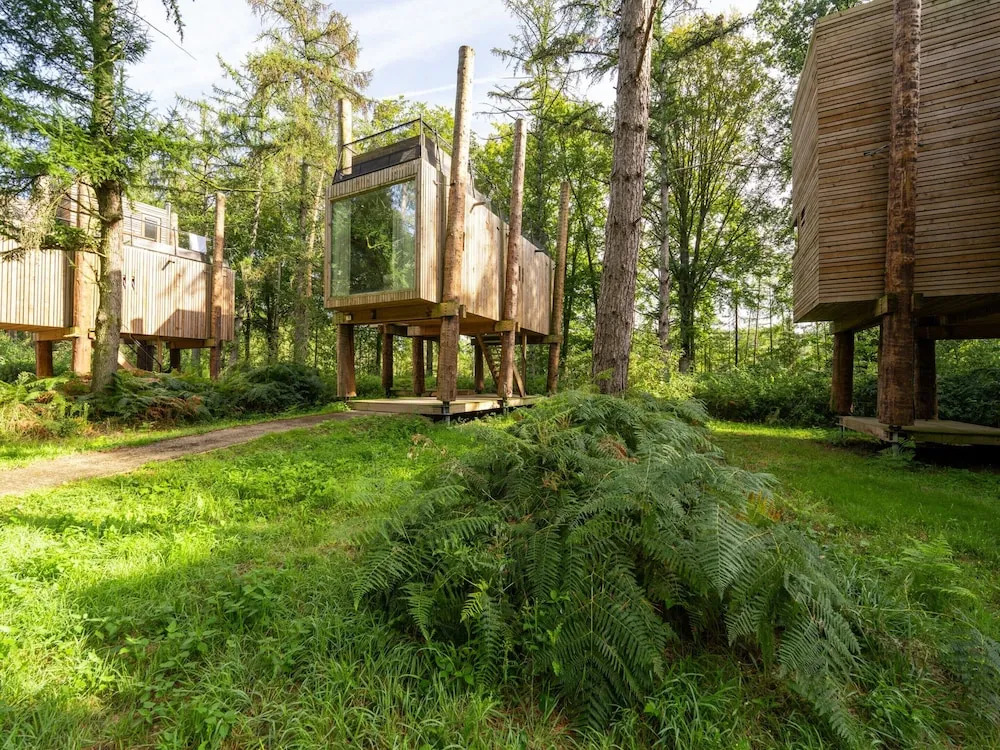 Stylish Stay With Sauna