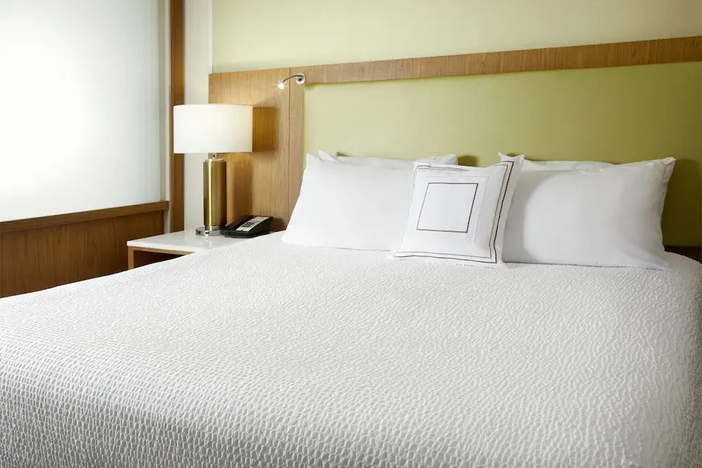 SpringHill Suites by Marriott Pittsburgh Bakery Square