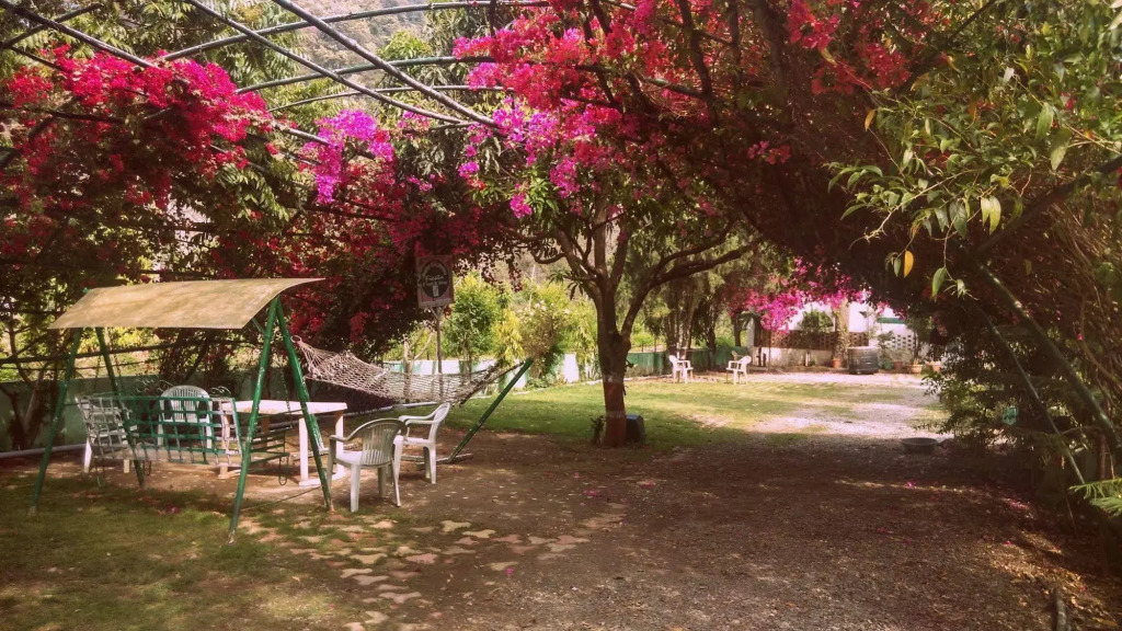 Fiesta Hotel