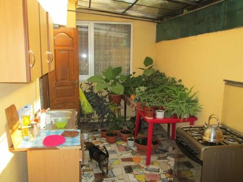 Guest House Veterok