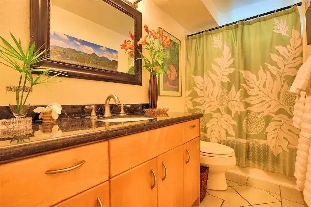South Maui Luxury Rentals