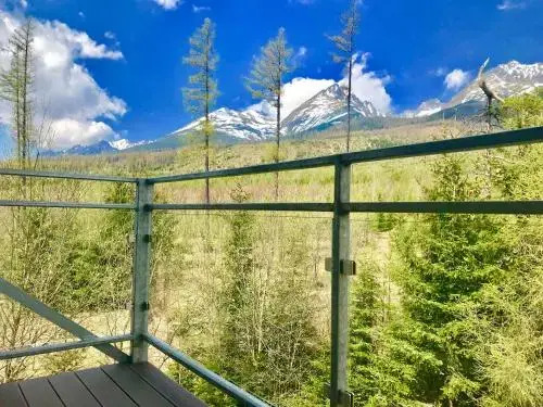 Apartman pod Gerlachom s wellness
