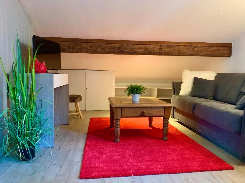 Appartement Duplex Forclaz