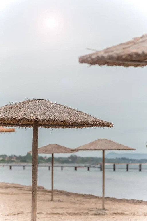 Olive Grove Beachfront Apartments & Suites
